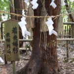 福島県いわき市パワースポット（８）　勿来「八坂神社」