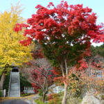 いわき市おすすめ紅葉スポット！湯本町「梅林寺の銀杏・紅葉」と「銀杏並木集」