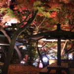 知ってますか？　いわき市湯本町「温泉神社のライトアップ」は数分ごとに照明操作で様変わり！