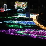 いわき市　２０２０年イルミネーションはここから始まった！２１世紀の森公園
