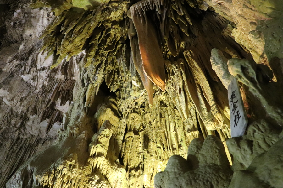 田村市「あぶくま洞」涼しい洞窟の中で神秘的・幻想的な世界を・・・ラベンダーが咲き始めました。