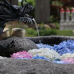 いわき市入遠野　円福寺「花手水」の紫陽花が素晴らしく綺麗でした！　雨引観音はどうなんだろう？