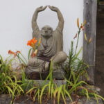 こんなの初めて見ました！皆さん知ってますか？いわき市平「安祥院」面白い・・・がありますよ（笑）