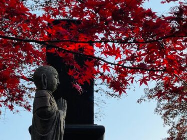 ２０２１年１１月２０日撮影　茨城県大子町　永源寺「もみじ寺」こんなにも素晴らしい紅葉は初めてみました！