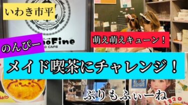 いわき市　メイド喫茶「ぷりもふぃーね福島店」行ってきました♬　昨年の１１月にオープンして相変わらずの人気！